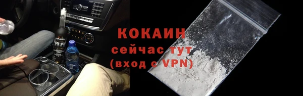СК Новодвинск