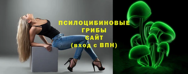 стафф Баксан