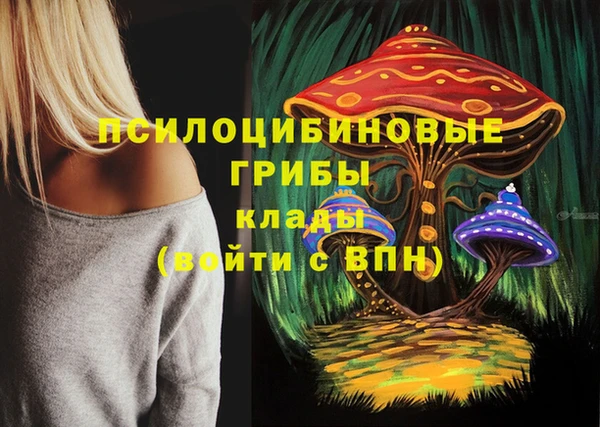стафф Баксан