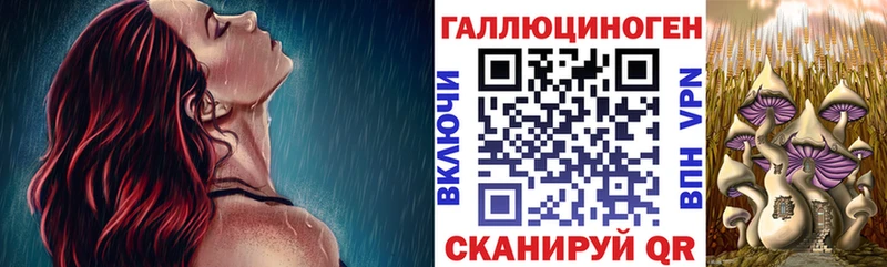 купить   Опочка  Галлюциногенные грибы Magic Shrooms 