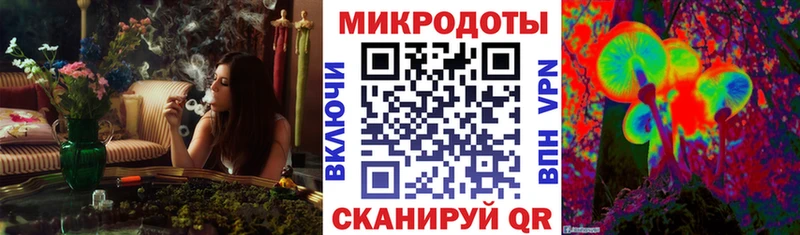 Галлюциногенные грибы Psilocybine cubensis Опочка