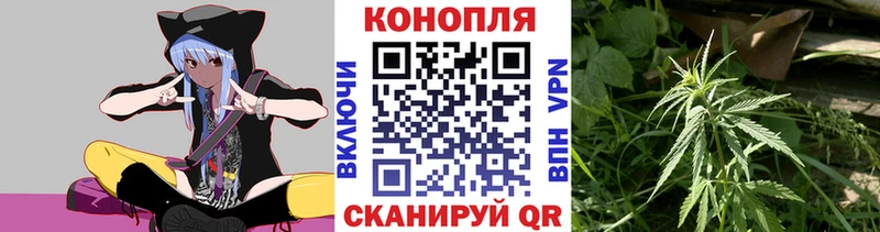 Каннабис план  купить наркотики цена  Опочка 